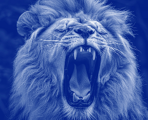 Leão Anglo Fernandópolis